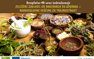 ZELIŠČNI ZAKLADI: OD NABIRANJA DO UPORABE – NARAVOSLOVNE VEŠČINE ZA TRAJNOSTNOST